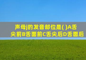 声母j的发音部位是( )A舌尖前B舌面前C舌尖后D舌面后